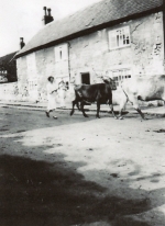 Rose Stables at Dovecote Farm