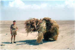 brian with camel.jpg (22146 bytes)