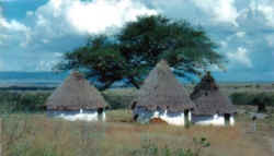 three huts processed.jpg (70922 bytes)